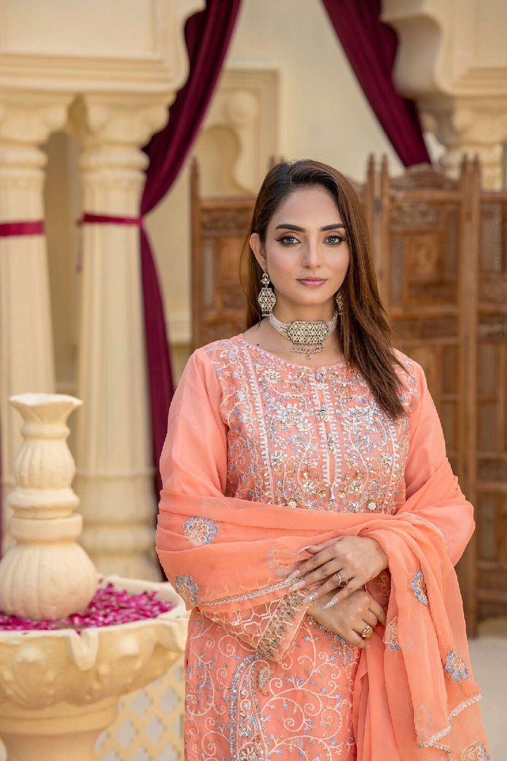 3 Piece Ready To Wear Fully Embroidered Chiffon Suit -- TT-70