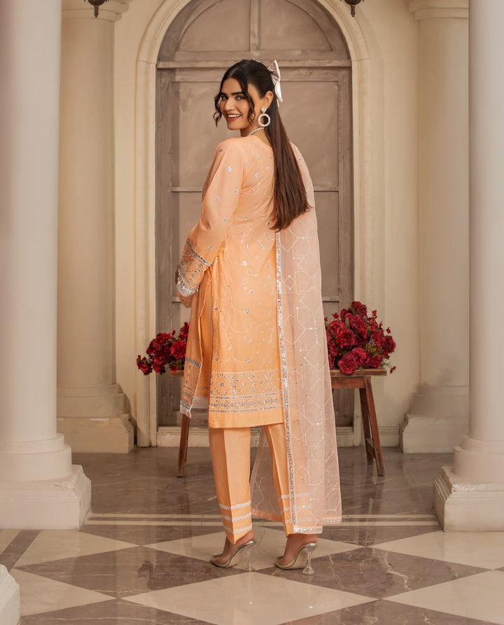 3 Piece Ready To Wear Suit