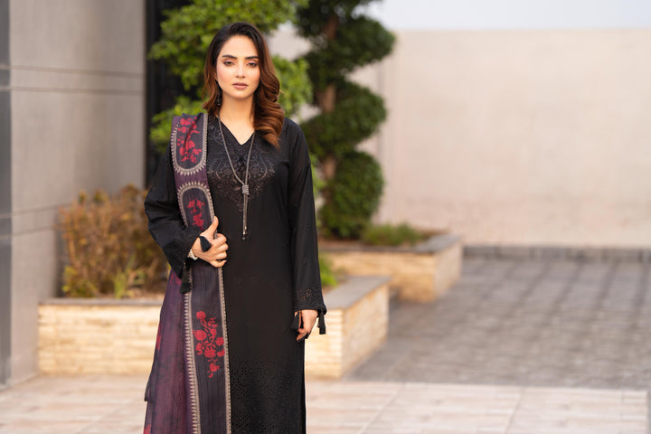 New Azal Festive Wear Silk Viscose Chikankari Suit 2026 Collection - RA100