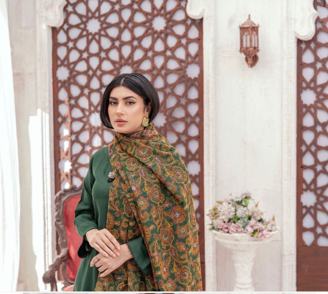 3 Pc Ready To Wear Dhanak  Suit With Full Embroidered Shawl - TT-41