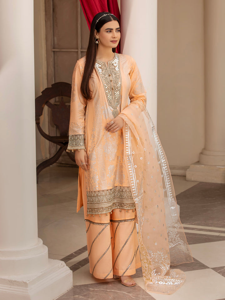 3 Piece Ready To Wear Suit