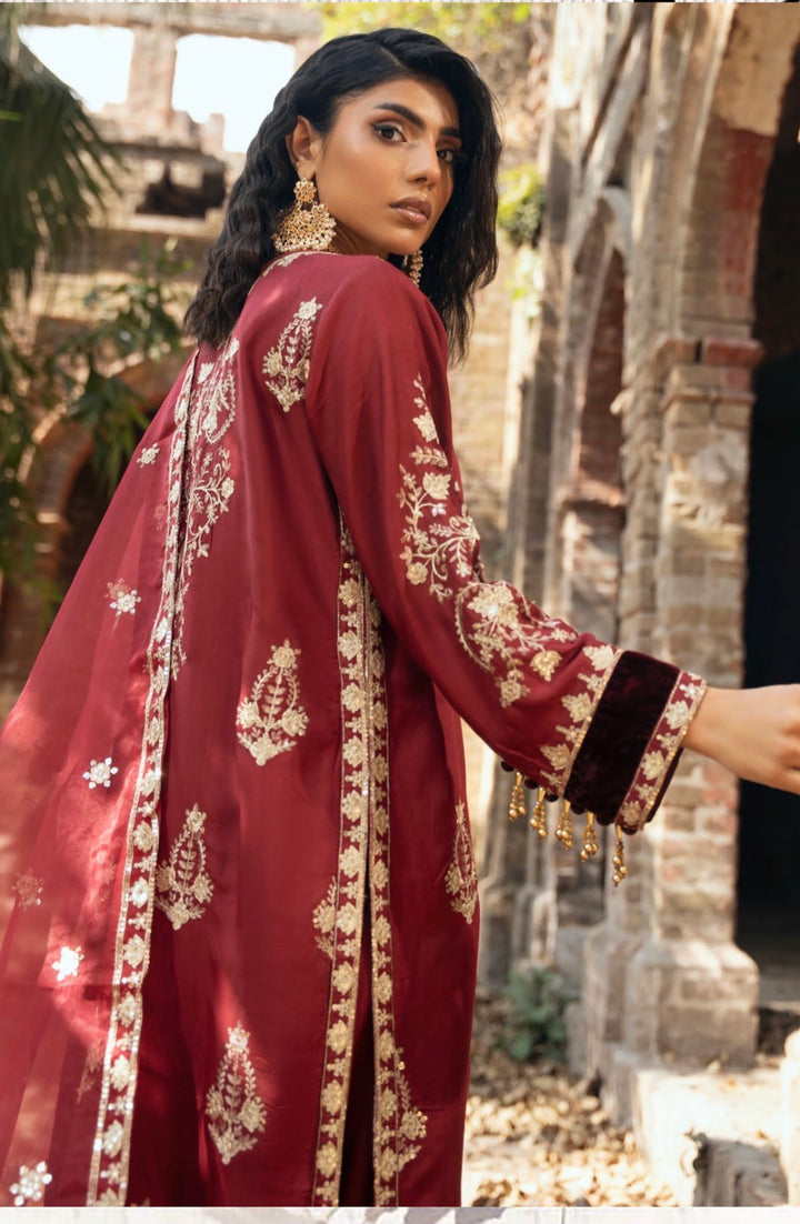 Threads Embroidered Ready To Wear Suit - Festive Wear 2026 - TT404