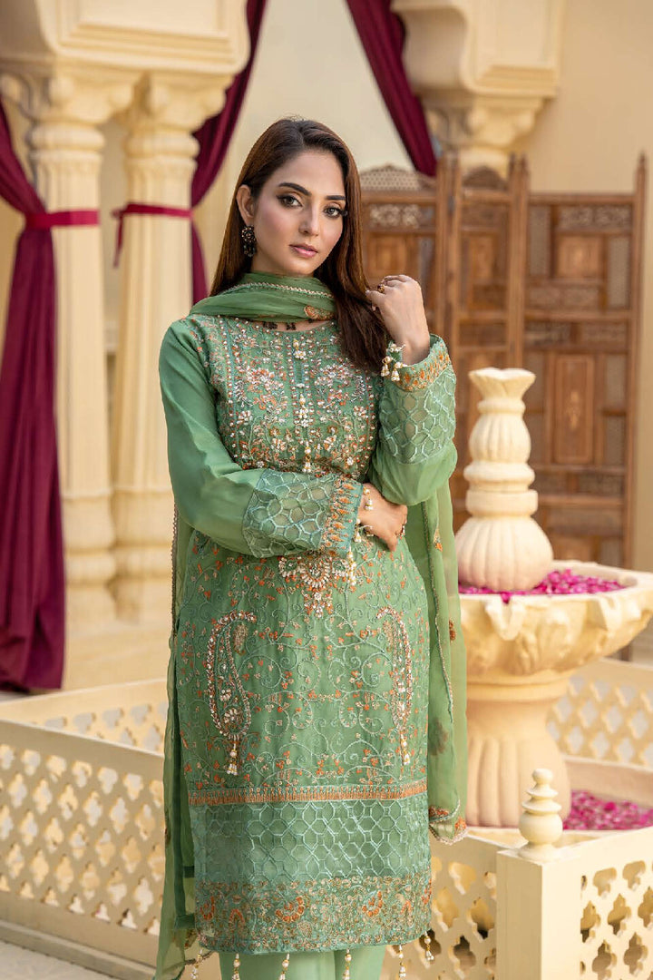 3 Piece Ready To Wear Fully Embroidered Chiffon Suit -- TT-71-