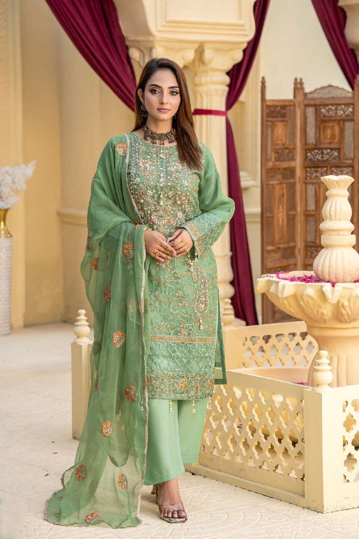 3 Piece Ready To Wear Fully Embroidered Chiffon Suit -- TT-71-