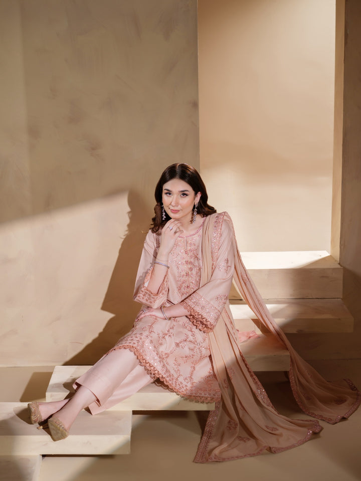 New Branded 3 PC Ready To Wear  Viscose Fully Embroidered Suit- HE147-