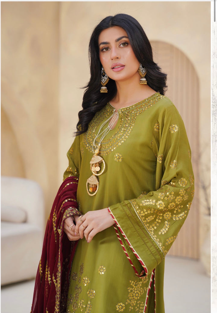 Threads Embroidered  Ready To Wear  Suit - Festive Wear 2026 - TT401