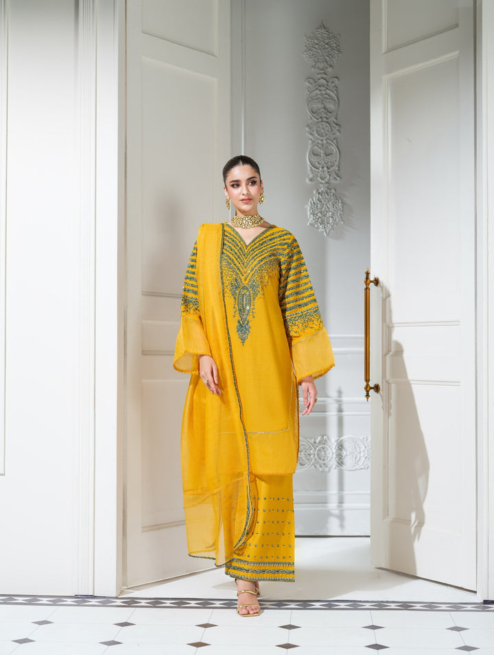 3 Pc Ready To Wear Embroidered  Dhanak Suit -HE65-