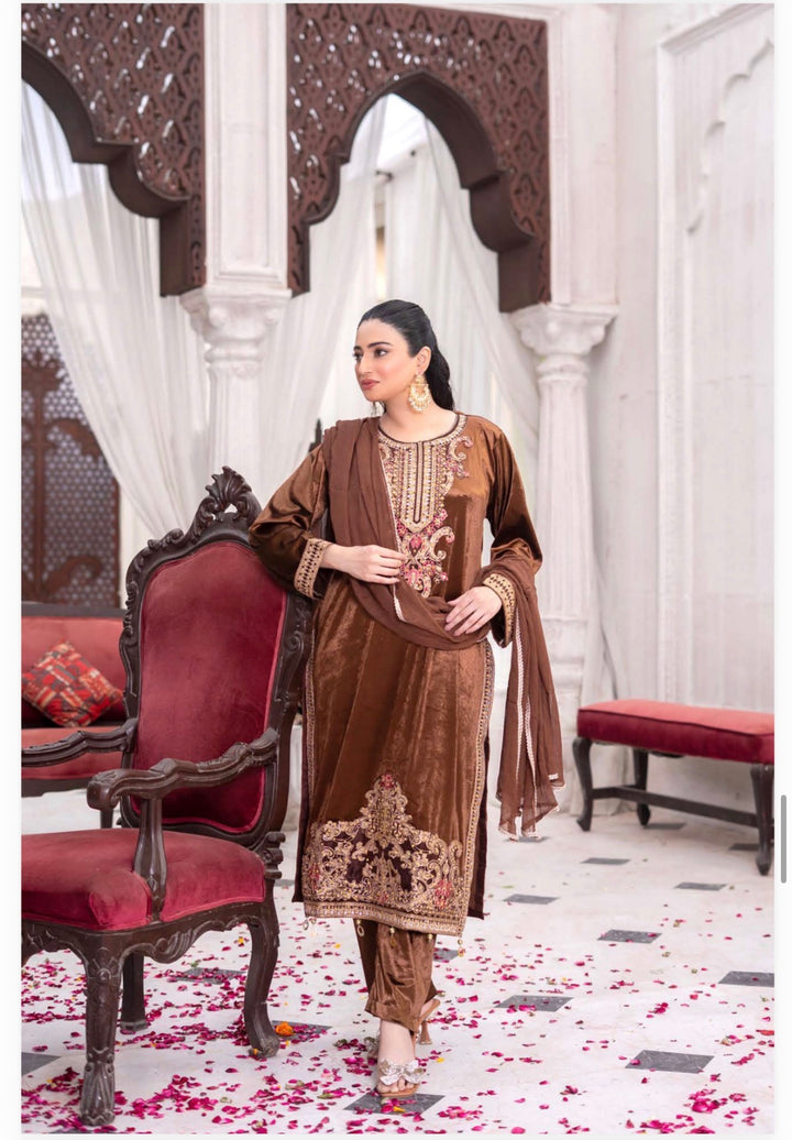 3 Pc Ready To Wear Fully Embroidered  Valvet Suit With Chiffon Dupatta - TT-54-