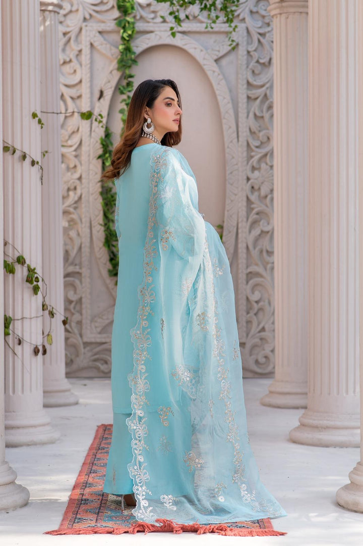 New Festive Luxury Suit- New 2026 Collection - RA173