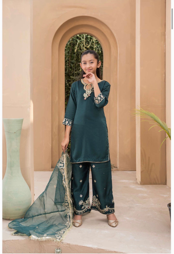 | Beautiful Embroidered Viscose Mother & Daughter Pakistani Readymade Eid 2026 Collection - Festive - | RA2001 (3 Colours)