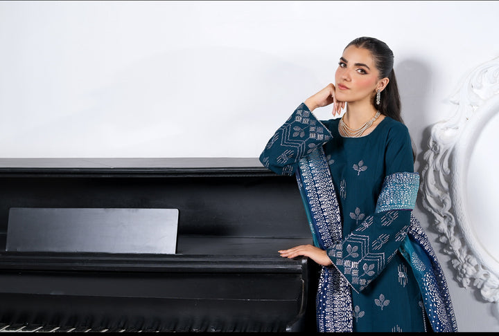 3 Pc Ready To Wear Embroidered  Dhanak Suit -HE66-