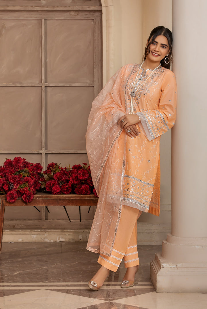 3 Piece Ready To Wear Suit