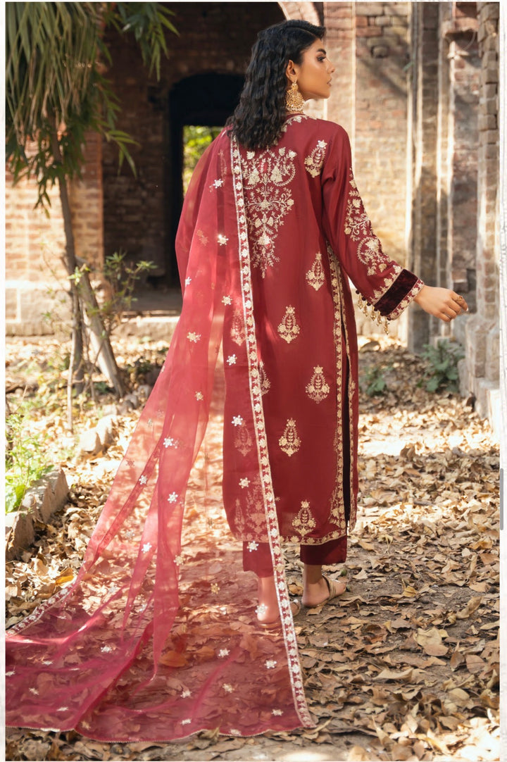 Threads Embroidered Ready To Wear Suit - Festive Wear 2026 - TT404