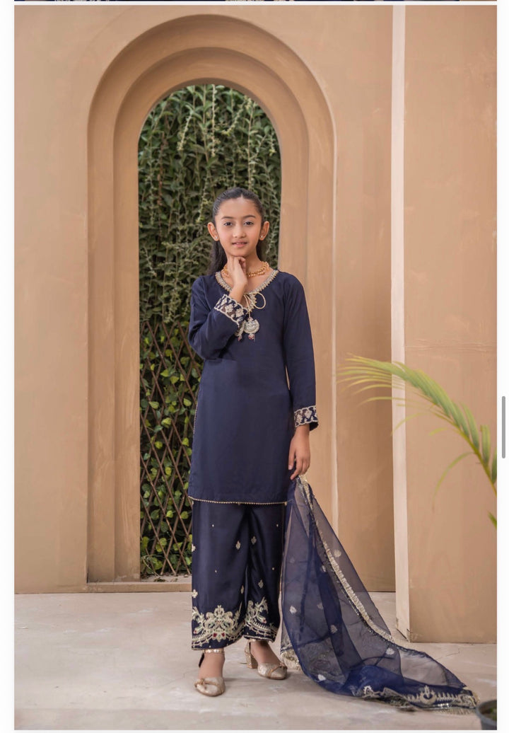 | Beautiful Embroidered Viscose Mother & Daughter Pakistani Readymade Eid 2026 Collection - Festive - | RA2001 (3 Colours)