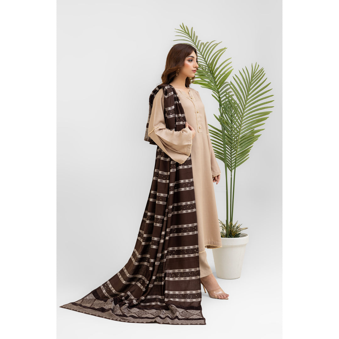 3 Pc Ready To Wear Suit - Kashmiri Wool Shawl (Winter Collection)