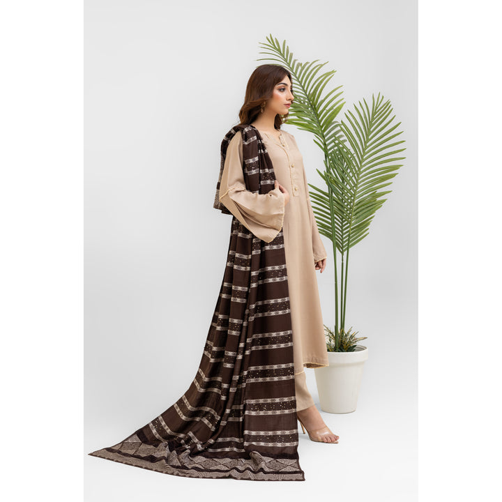 3 Pc Ready To Wear Suit - Kashmiri Wool Shawl (Winter Collection)