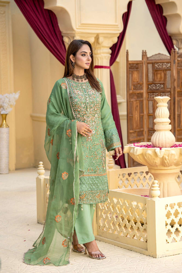 3 Piece Ready To Wear Fully Embroidered Chiffon Suit -- TT-71-