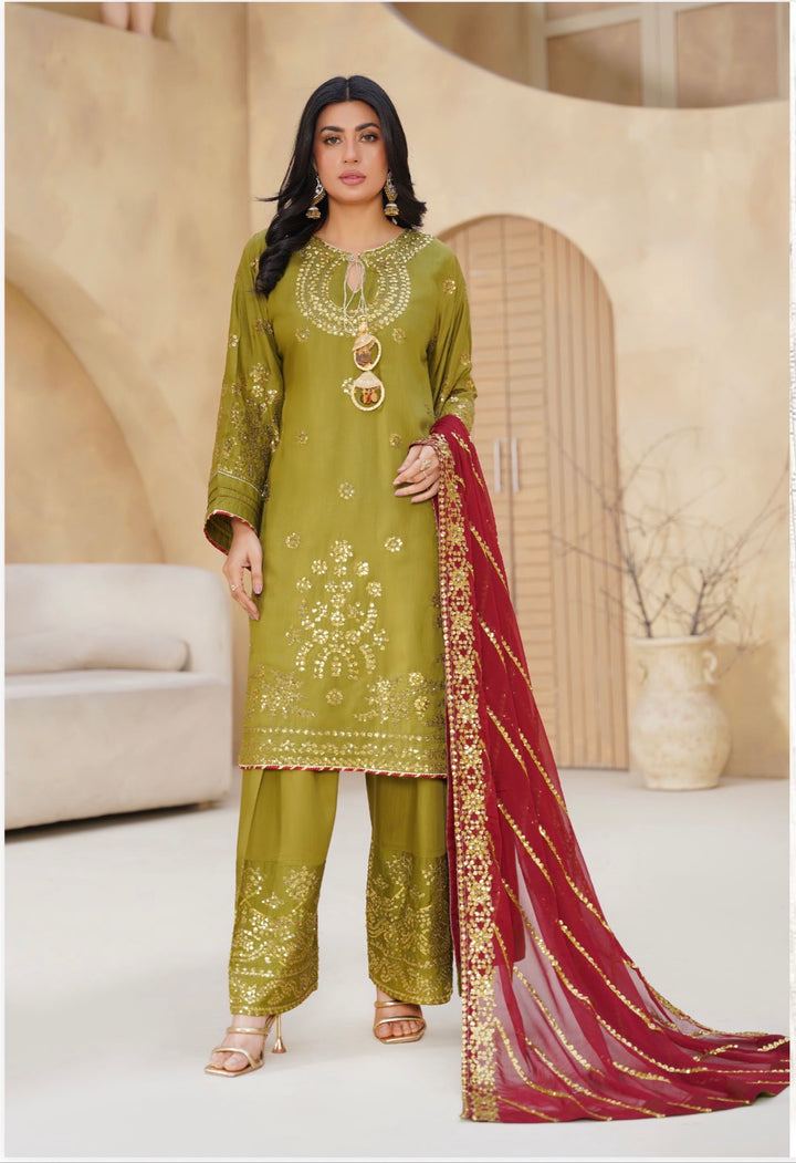 Threads Embroidered  Ready To Wear  Suit - Festive Wear 2026 - TT401