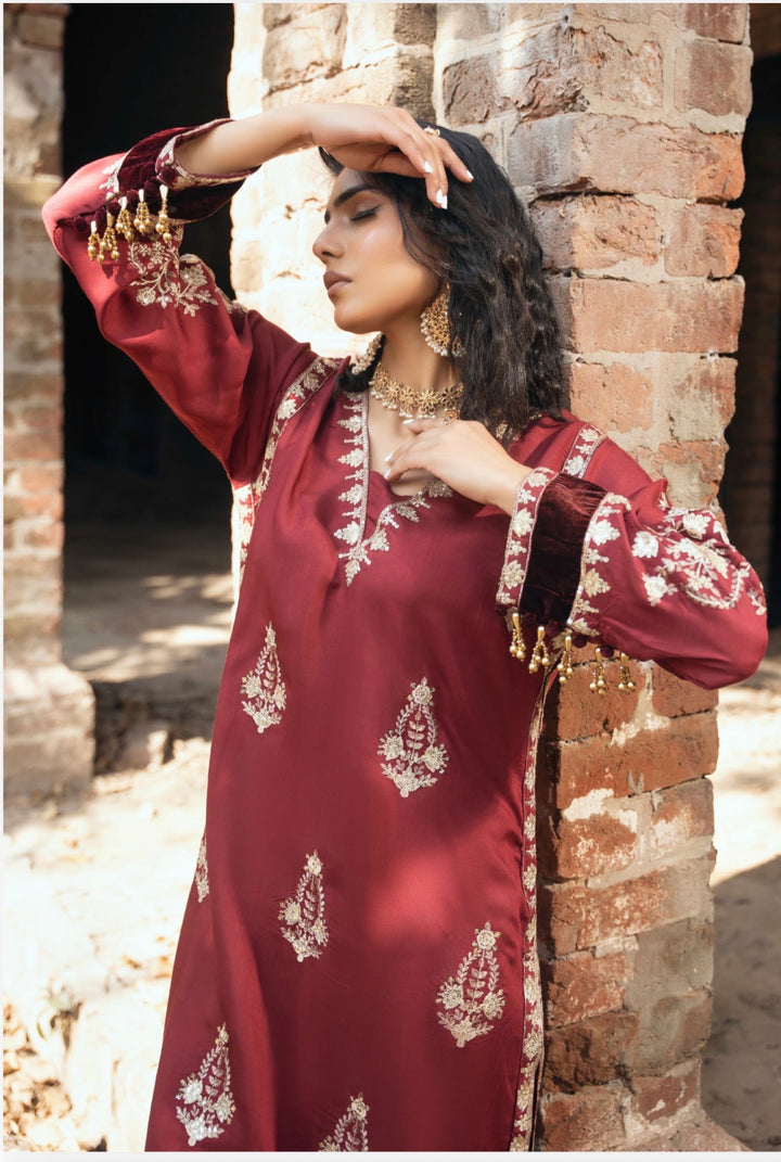 Threads Embroidered Ready To Wear Suit - Festive Wear 2026 - TT404