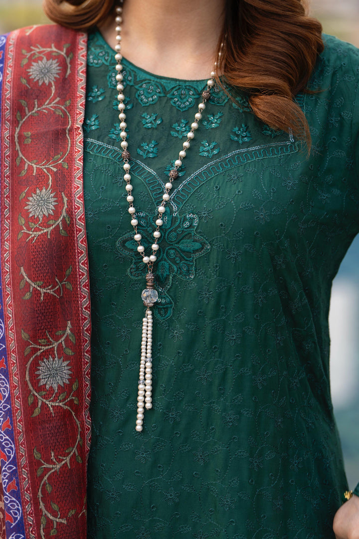 New Azal Festive Wear Silk Viscose Chikankari Suit 2026 Collection - RA109