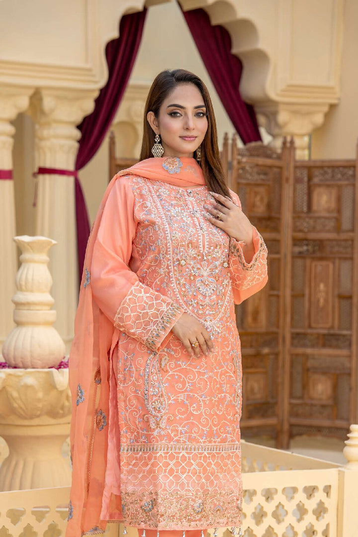 3 Piece Ready To Wear Fully Embroidered Chiffon Suit -- TT-70
