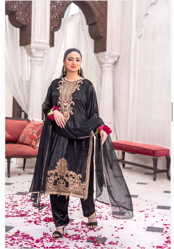 3 Pc Ready To Wear Fully Embroidered  Valvet Suit With Chiffon Dupatta - TT-53