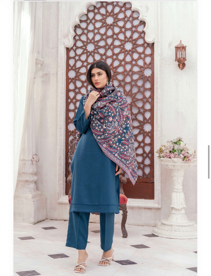 3 Pc Ready To Wear Dhanak  Suit With Full Embroidered Shawl - TT-42-