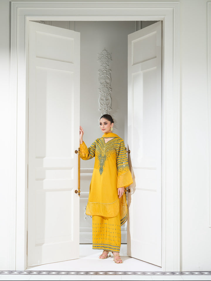 3 Pc Ready To Wear Embroidered  Dhanak Suit -HE65-