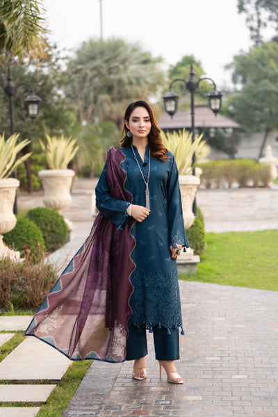 New Azal Festive Wear Silk Viscose Chikankari Suit 2026 Collection - RA105